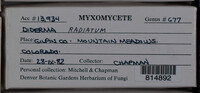 Image Associated With the Occurence